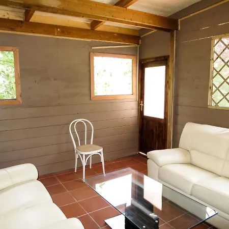 Vakantiehuis Sofia By Interhome Volterra